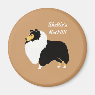 Íman Black Tri Shetland Sheepdog Rock!!