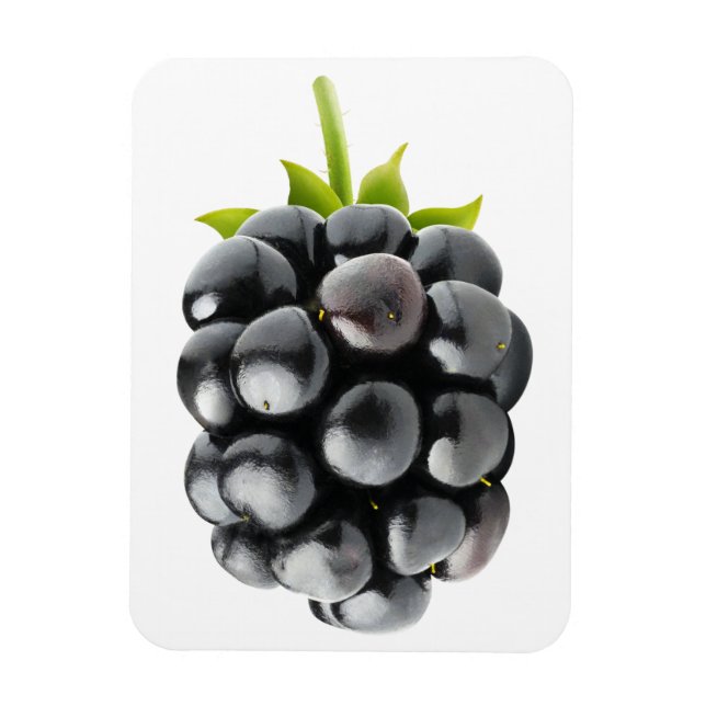 Íman Blackberry (Vertical)