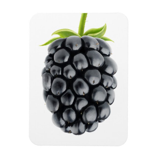 Íman Blackberry (Vertical)