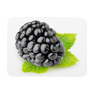 Íman Blackberry e hortelã