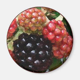 Íman Blackberry Watercolor - Magnet