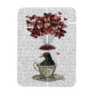 Íman Blackbird Em Teacup