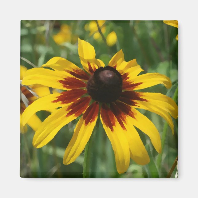 Íman Blackeyed Susan Magnet (Frente)