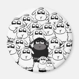 Íman blacksheep