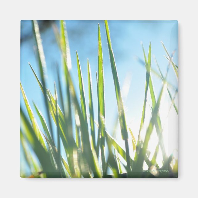 Íman Blades Sunlit (Frente)