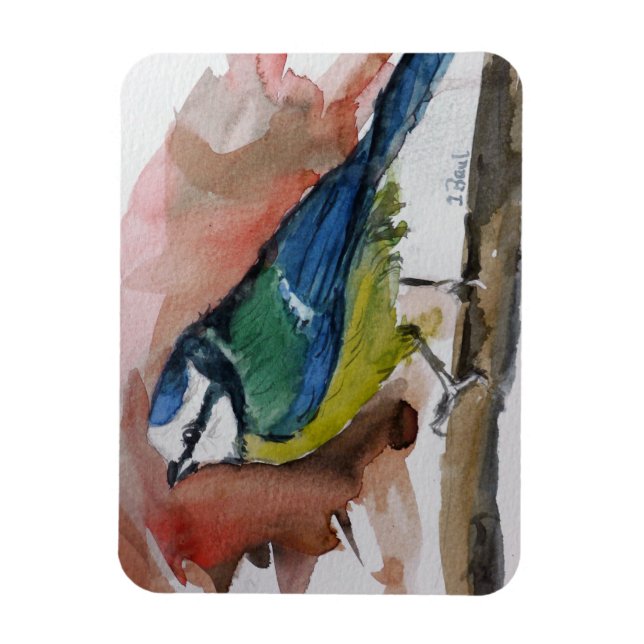 Íman Blaumeise (Vertical)