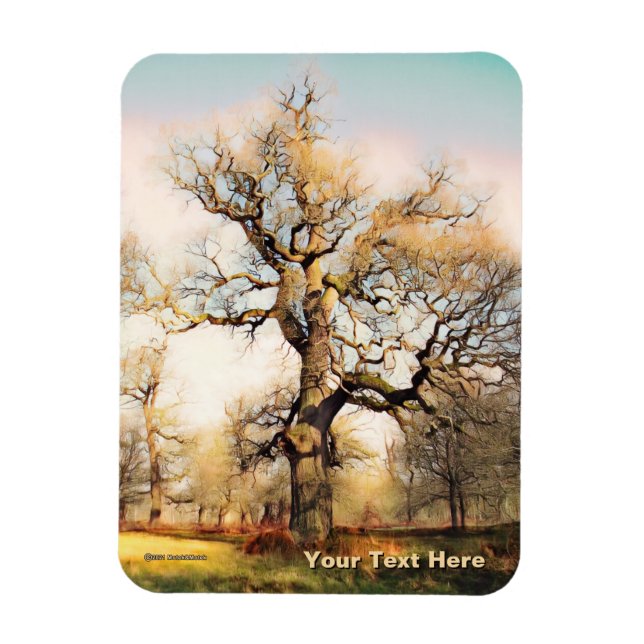Íman Blenheim Palace English Oak (Vertical)