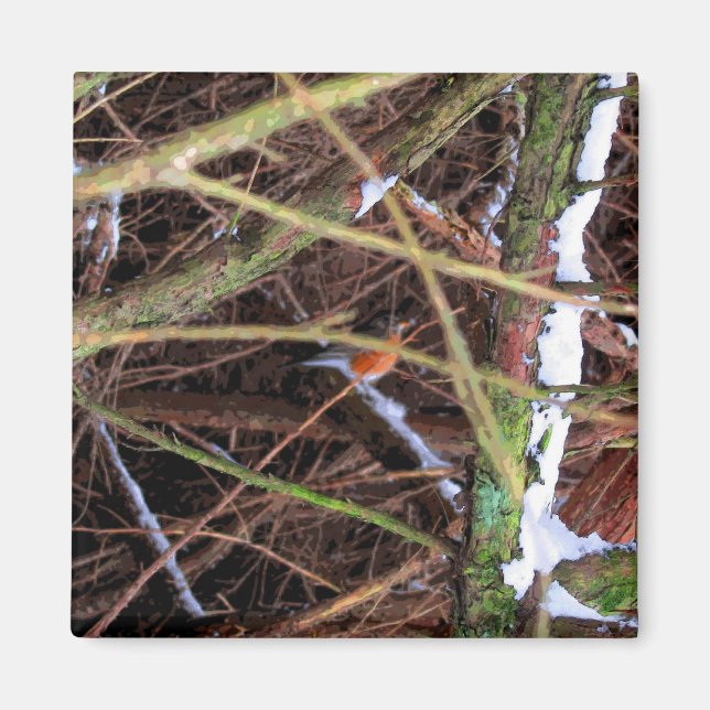 Íman Blizzard Bird CB (Frente)