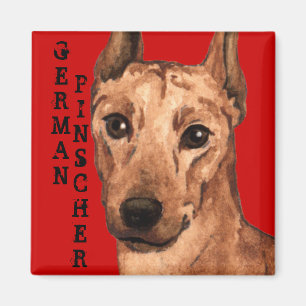 Íman Bloco alemão da cor do Pinscher
