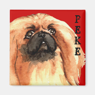 Íman Bloco da cor de Pekingese