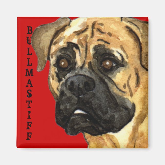 Íman Bloco de Cor do Bullmastiff (Frente)