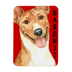 Íman Bloco de Cores Basenji