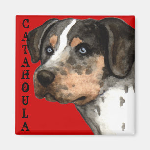 Íman Bloco de cores Catahoula
