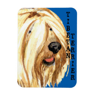 Íman Bloco de Cores do Terrier Tibetano