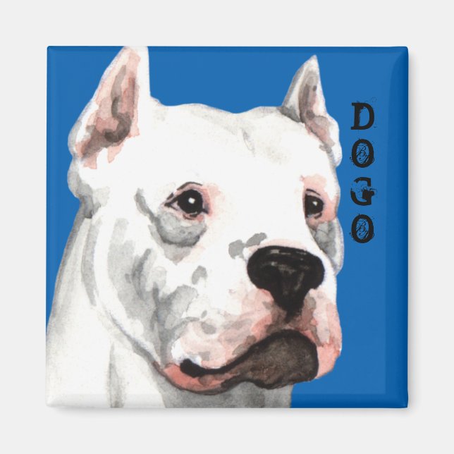 Íman Bloco de cores Dogo Argentino (Frente)
