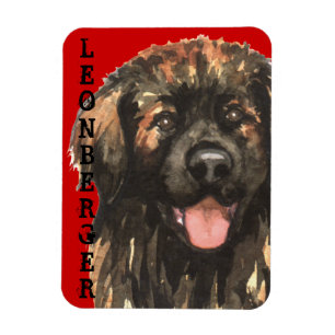 Íman Bloco de Cores Leonberger