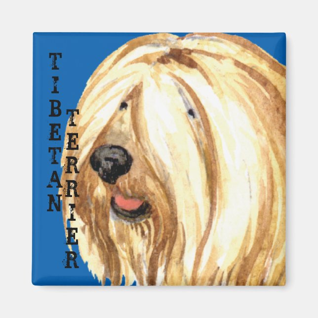 Íman Bloco de Cores Terrier tibetano (Frente)