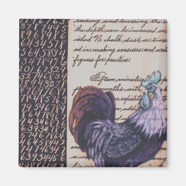 Íman Bloco de frango C (Frente)