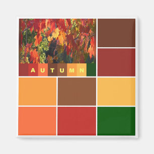 Íman Blocos de Cores de Outono