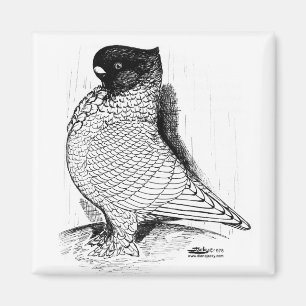 Íman Blondinette Laced 1978