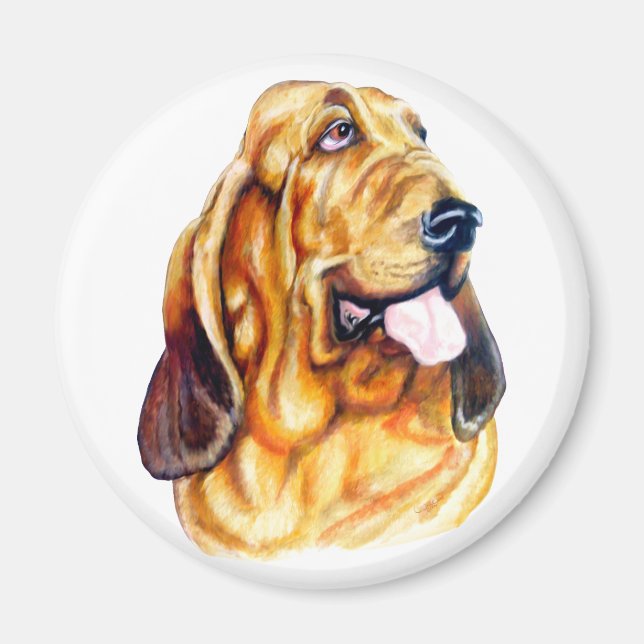 Íman Bloodhound Bust (Frente)