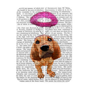 Íman Bloodhound com Angelic Pink Halo