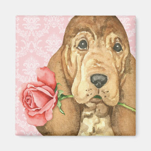 Íman Bloodhound cor-de-rosa dos namorados