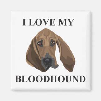 Íman Bloodhound Love
