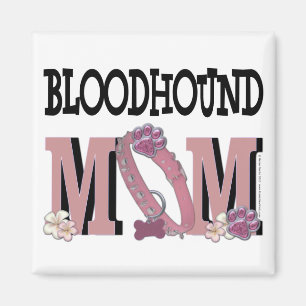 Íman Bloodhound MOM