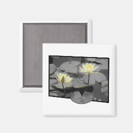 Íman Bloom além do quadro