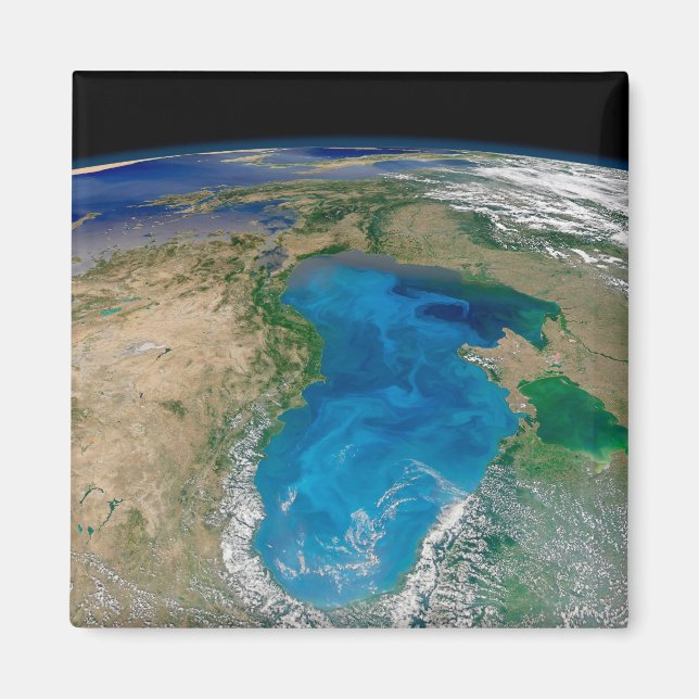 Íman Bloom De Fitoplâncton Azul No Mar Negro (Frente)