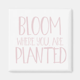 Íman Bloom onde você está plantado