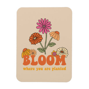 Íman Bloom onde você está plantado