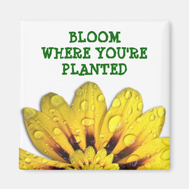 Íman Bloom onde você está Plantado Magnet (Frente)
