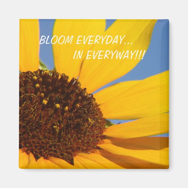 ÍMAN BLOOM TODOS OS DIAS... EM TODOS OS CASOS!!! (Frente)