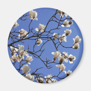 Íman Blooming Magnolias