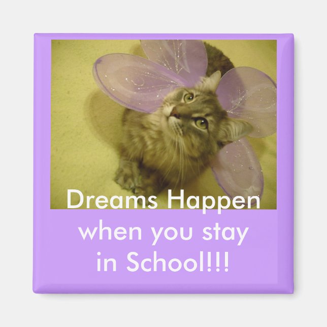 íman bloqueador (Frente)