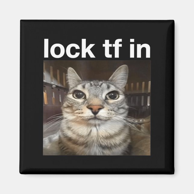 Íman Bloquear TF no Meme de Gato (Frente)
