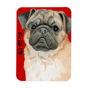 Íman Bloqueio de Cor do Pug
