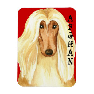 Íman Bloqueio de Cores de Hound Afegão