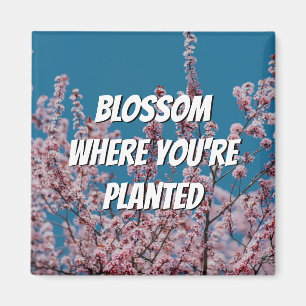 Íman BLOSSOM DE Cereja Floral ONDE VOCÊ ESTÁ PLANTADO