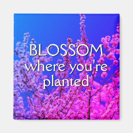 ÍMAN BLOSSOM ONDE VOCÊ ESTÁ PLANTADO
