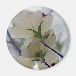 Íman Blossomas de Dogwood