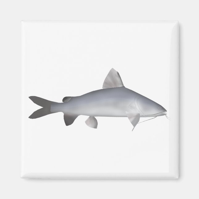 Íman Blu Salmon Catfish (Frente)