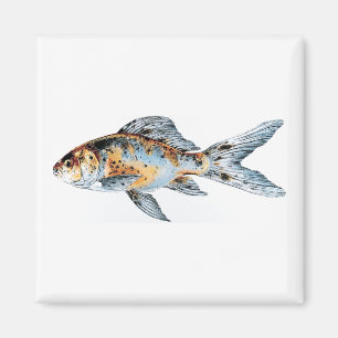 Íman Blue and Orange Shubunkin Goldfish Art