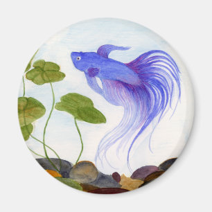Íman Blue Betta Fish