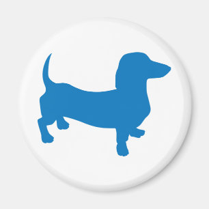 Íman Blue Doxie, Dachshund