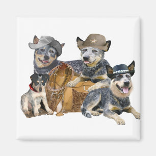 Íman Blue Heeler's Go Western Magnets