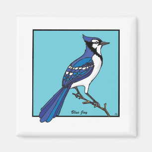 ÍMAN BLUE JAY