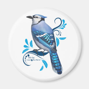 Íman Blue Jay